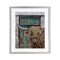 Stupell Industries Highland Cow by Barn Door Framed Print Under Glass, design by Jean Plout